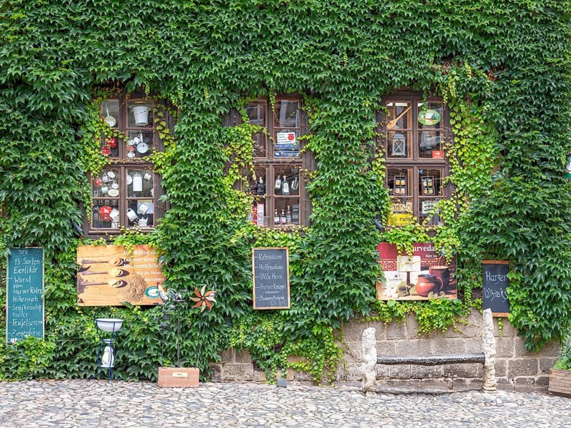 Green overgrown facade of the mustard shop