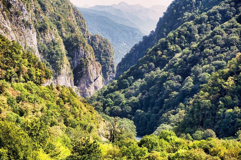 Road to Krasnaya Polyana