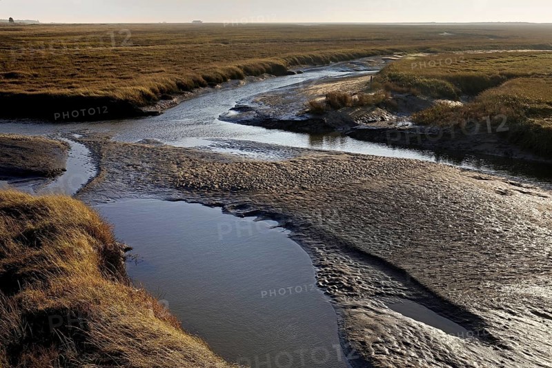 Tideways in the Wadden Sea