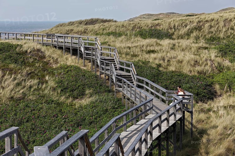 Dune hiking trail on boardwalks