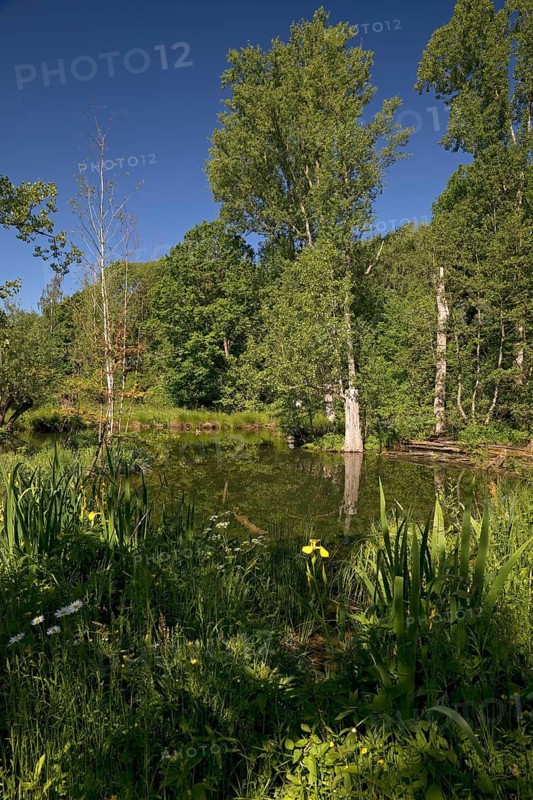 Floodplain landscape with the Erft in spring