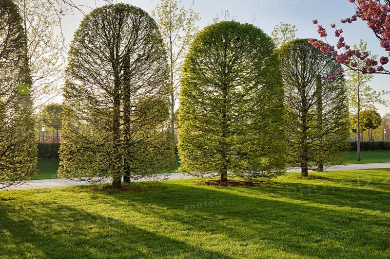 Park Galitskogo