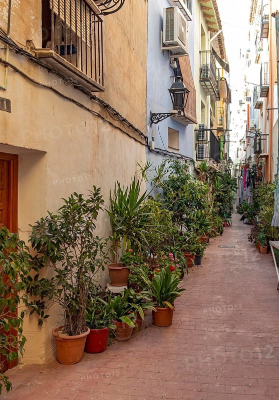Narrow street with flowerpots