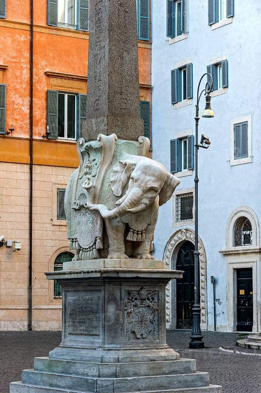 Pulcino della Minerva