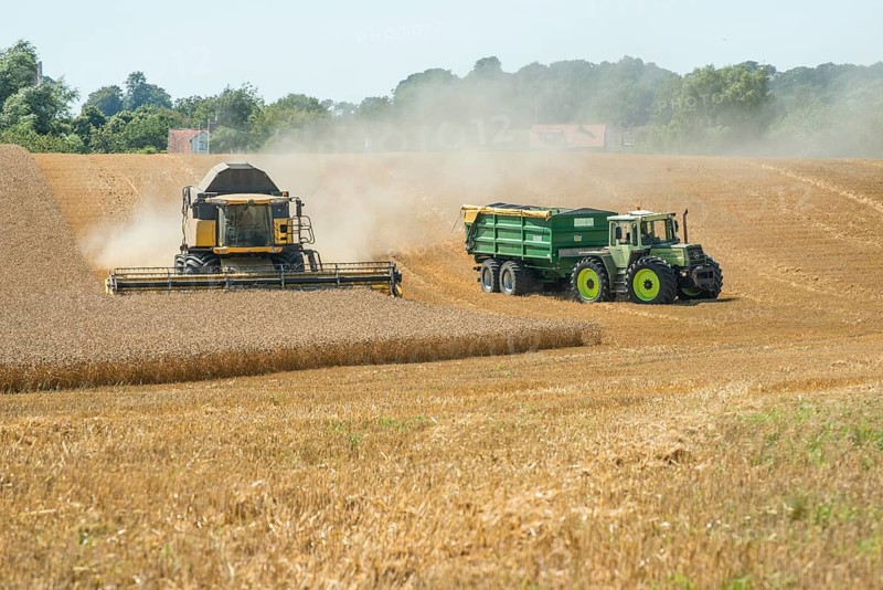 Threshing of grain with combine harvester at Ystad