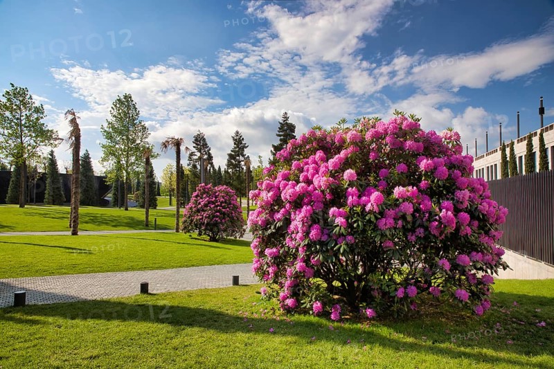 Park Galitskogo