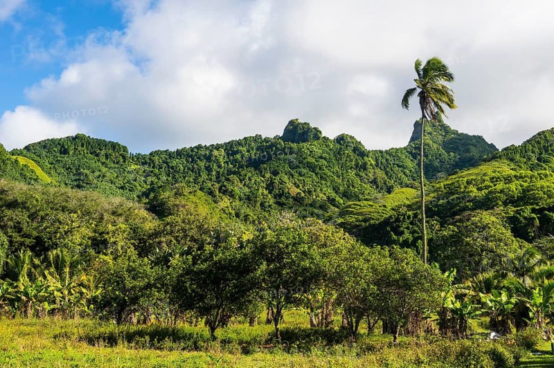Rugged interior of Rarotonga