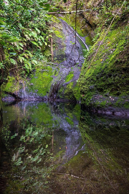 Wigmore's Waterfall