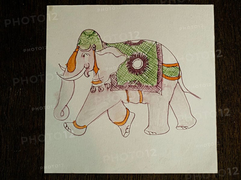 Elephant