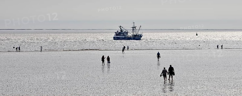 Mudflat walkers at low tide