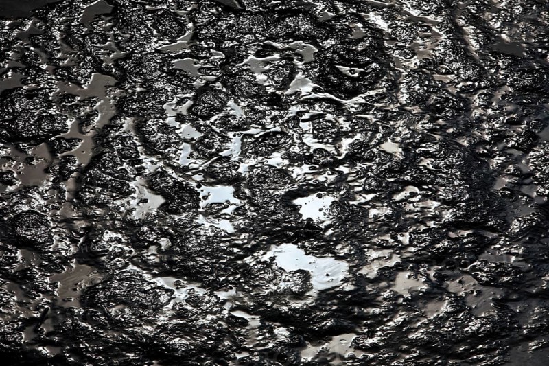 North Sea silt in the harbour basin at low tide