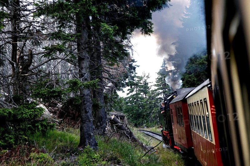 Harz narrow gauge railway