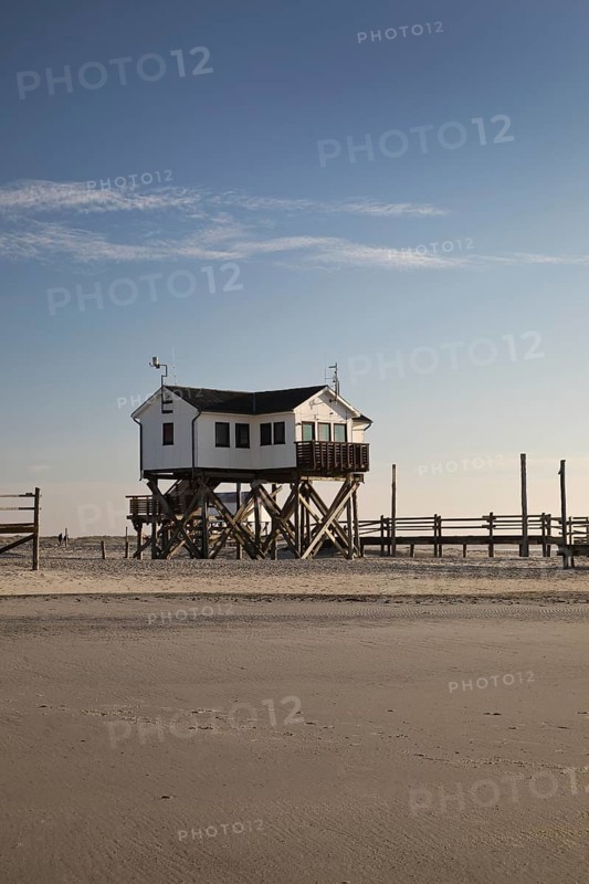 Pile dwelling in the mudflats at low tide
