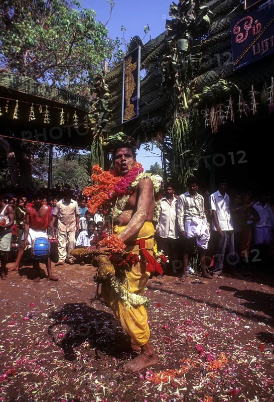 A god possessed man beating himself with whip. Mariamman festival at Coimbatore