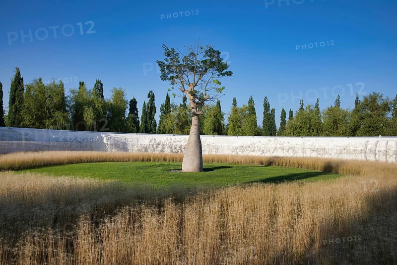 Nature in a Park Galitskogo