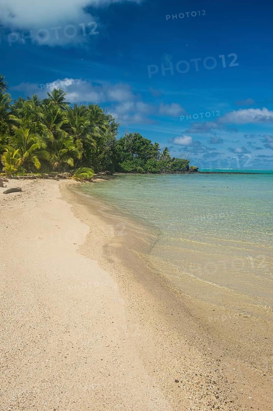 White sand beach and palm fringed beach in Aitutaki lagoon