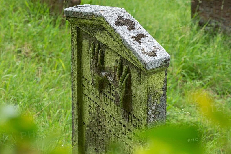Gravestone with the symbol of the Priests' hands at the historic Jewish cemetery