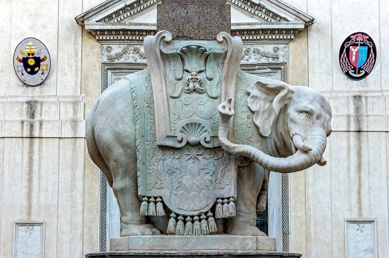 Pulcino della Minerva