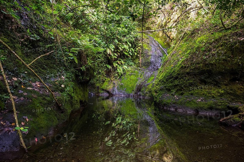 Wigmore's Waterfall