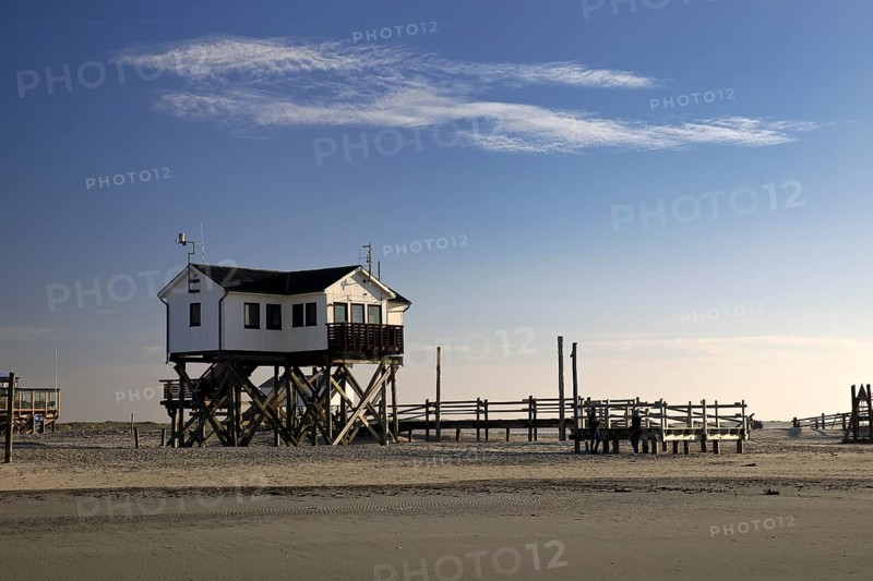 Pile dwelling in the mudflats at low tide
