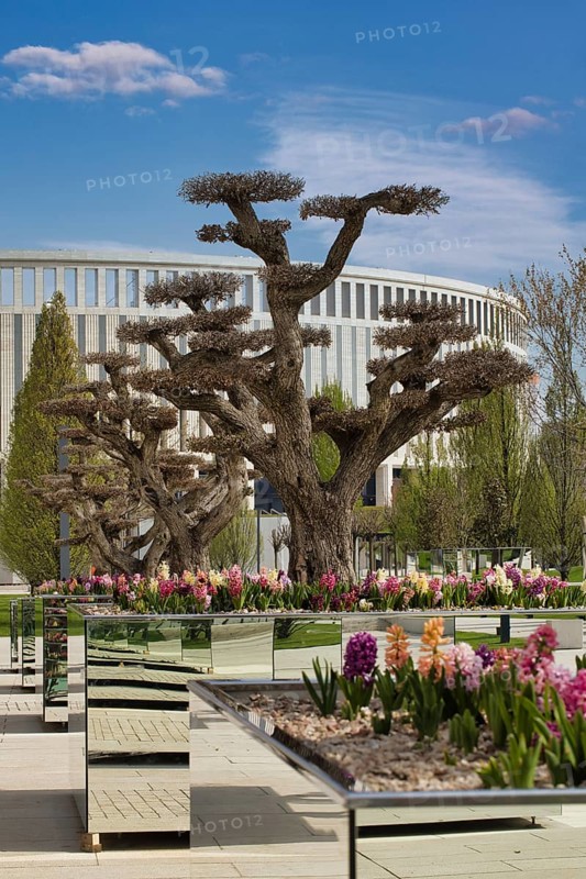 Stadium Krasnodar