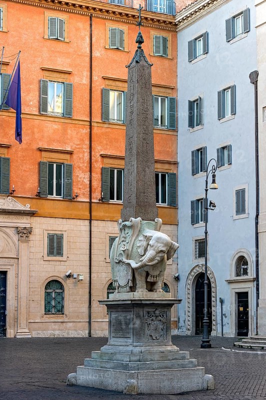 Pulcino della Minerva