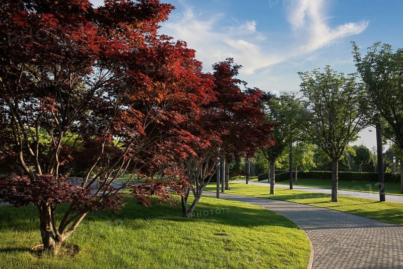 Nature in a Park Galitskogo