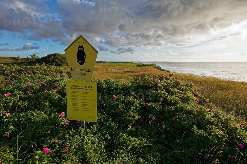 Sign nature reserve with pictogram owl in Braderup Heath