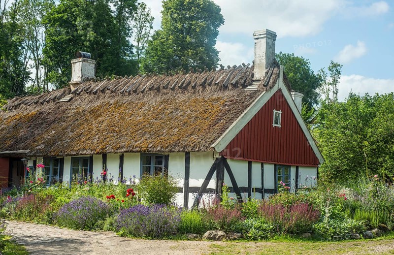 Old typical cottage with half timbered walls and thatched roof in Andrarum