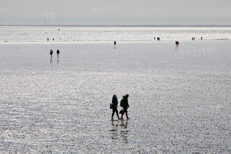 Mudflat walkers at low tide