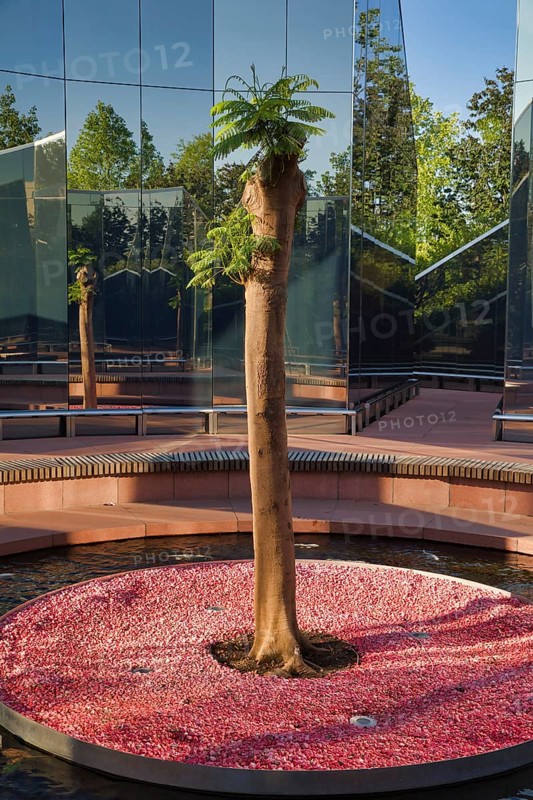 Tree in a park-man made space