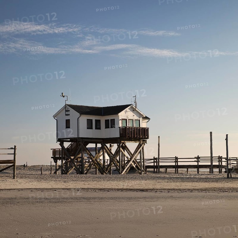 Pile dwelling in the mudflats at low tide