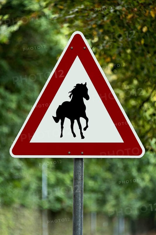 Traffic sign
