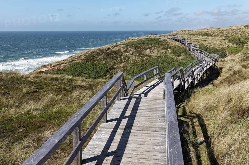 Dune hiking trail on boardwalks