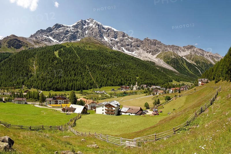 Mountain meadow with fence