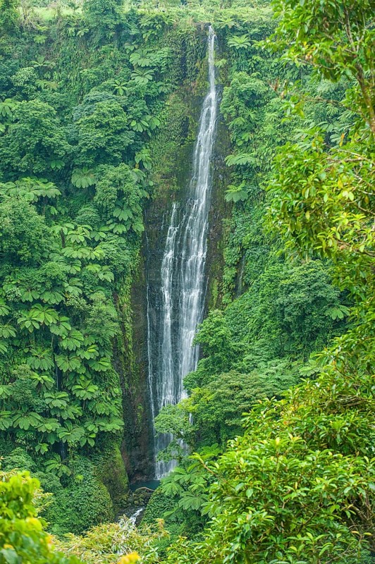 Papapapai-Tai Falls