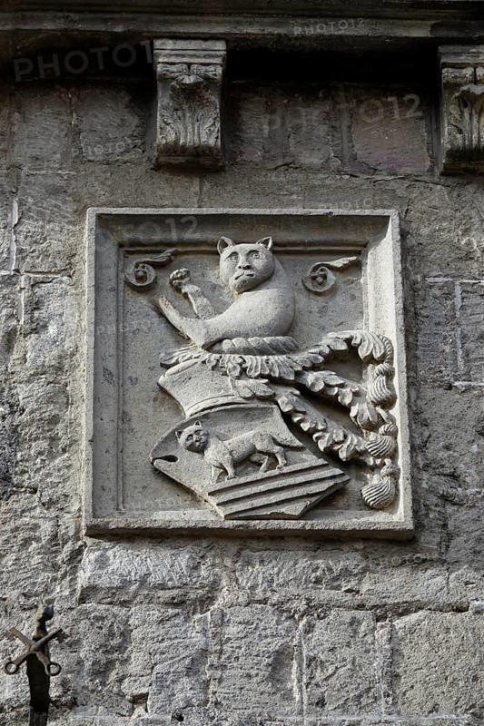 Coat of arms on a historic house in Piazza delle Erbe