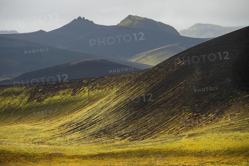 Mossy hills