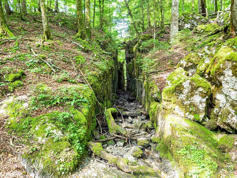 Alluvial canal for timber transport between Kammersee and Toplitzsee