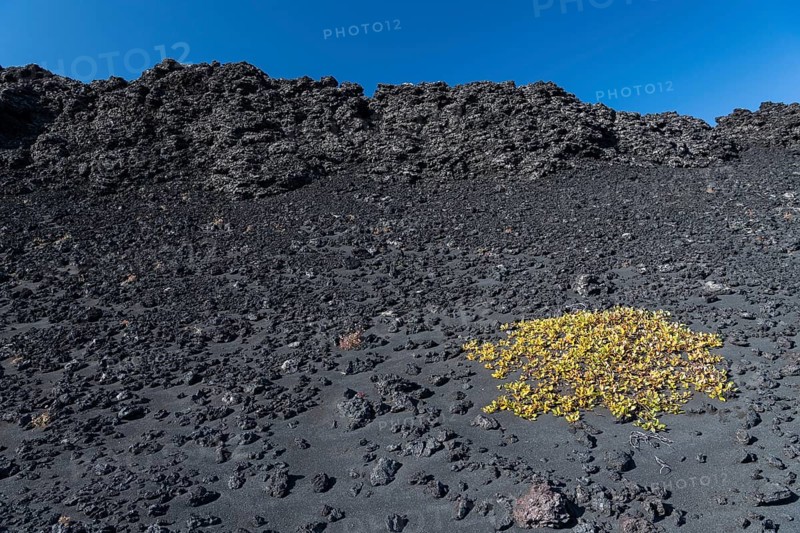 Lava rock