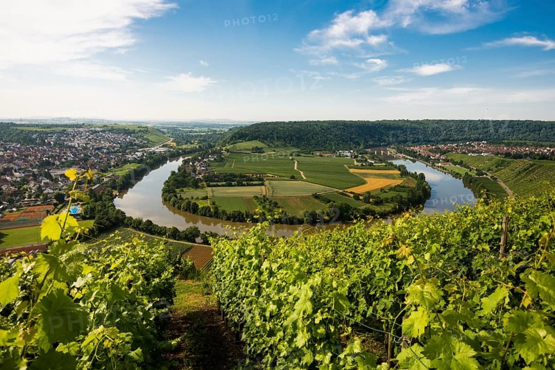 Neckar Loop and Vineyards