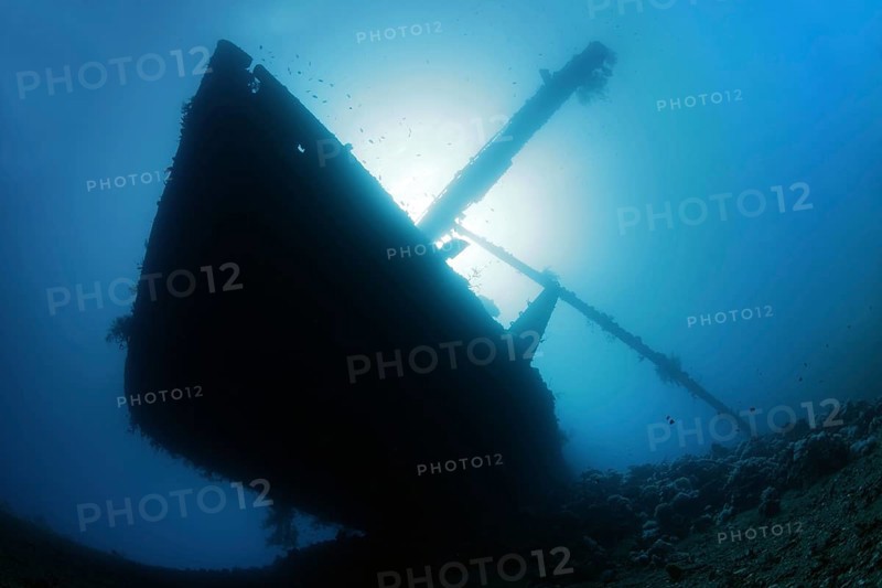Silhouette of the Cedar Pride Shipwreck