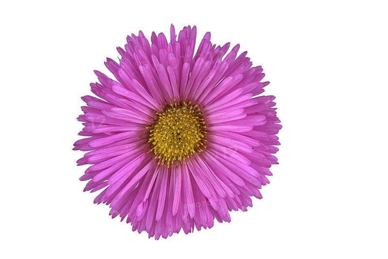 Fine beam aster