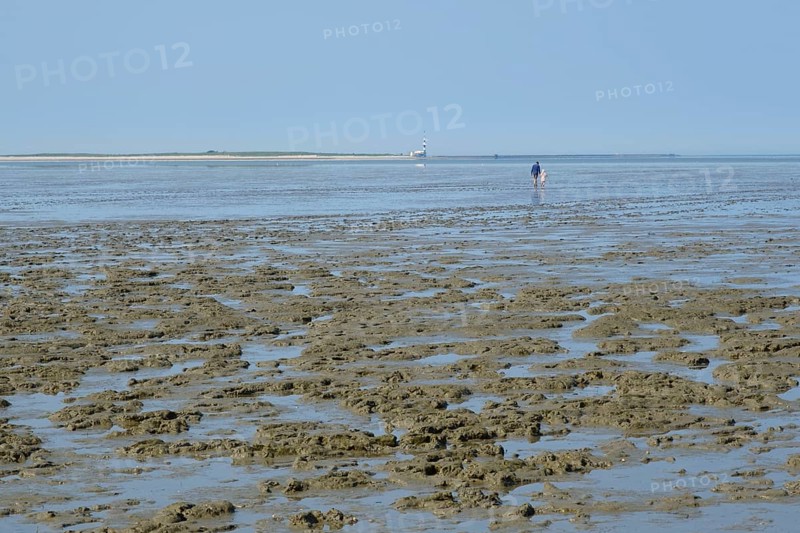 Hikers on the mudflats