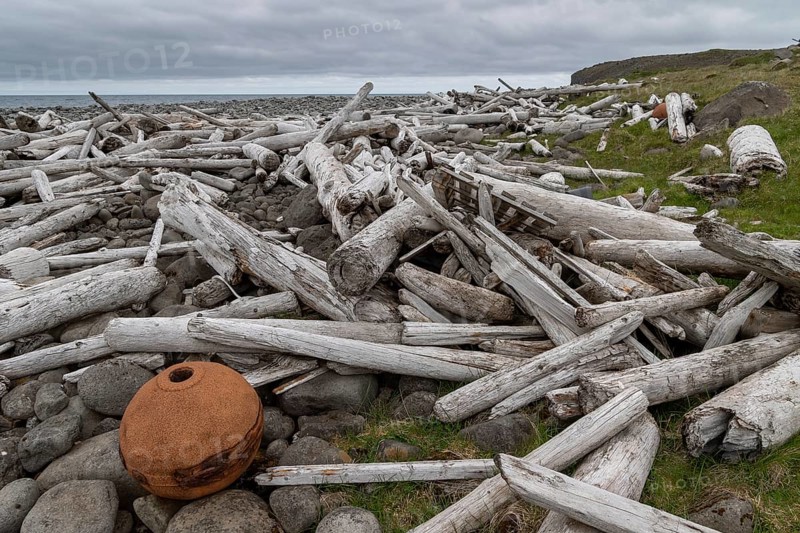 Driftwood