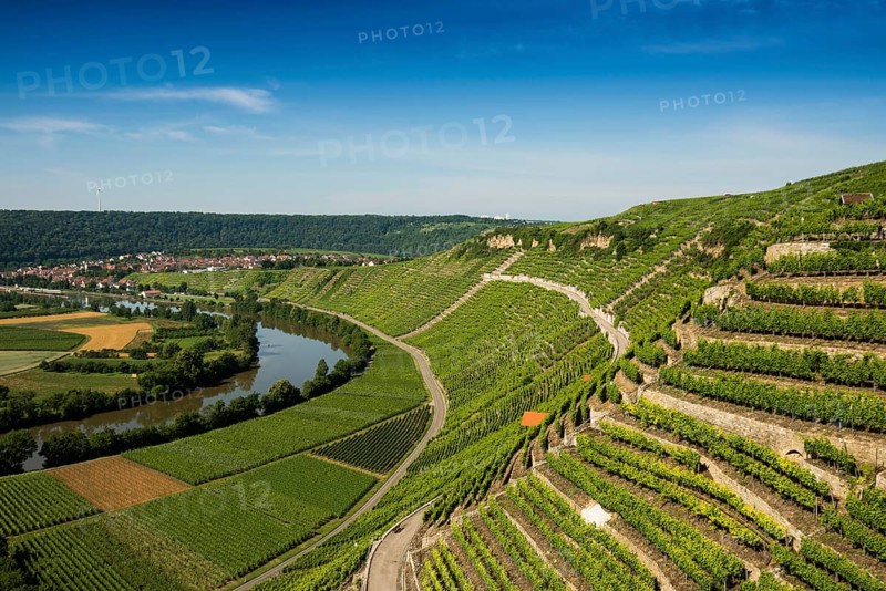 Neckar Loop and Vineyards