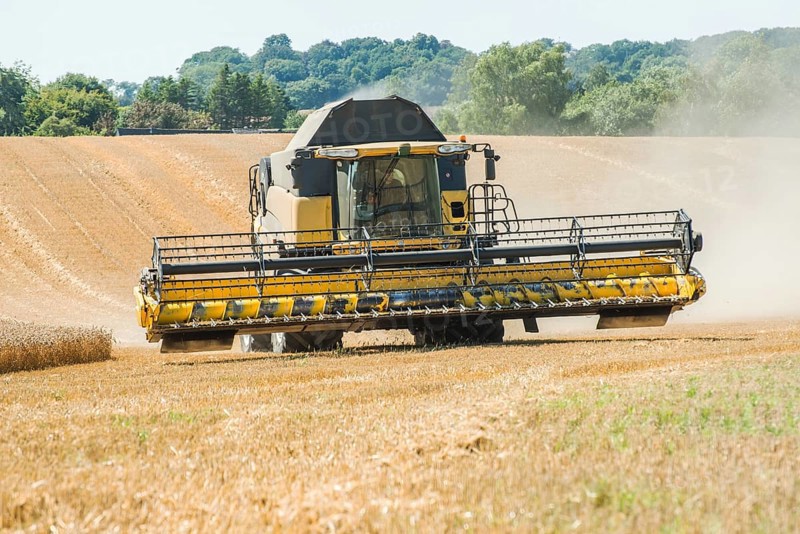 Threshing of grain with combine harvester at Ystad