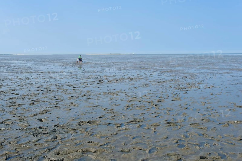Hikers on the mudflats