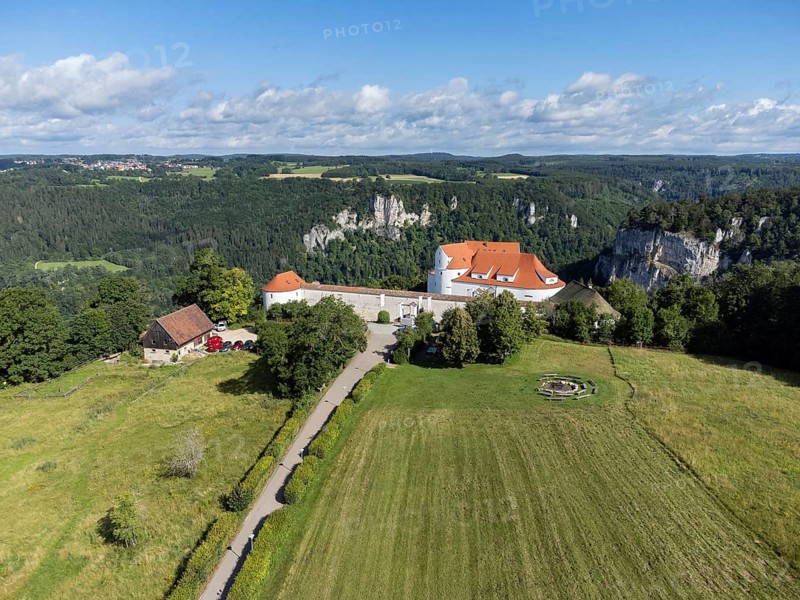 Wildenstein Castle