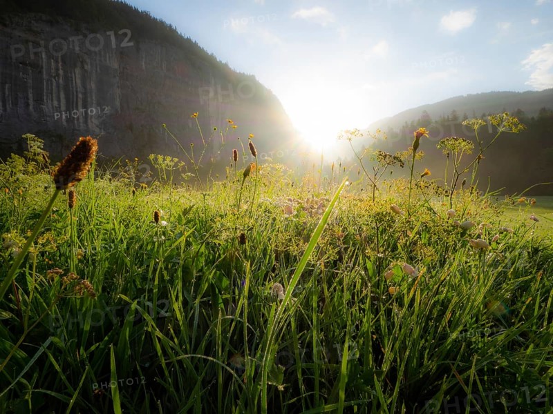 Morning atmosphere and sunrise